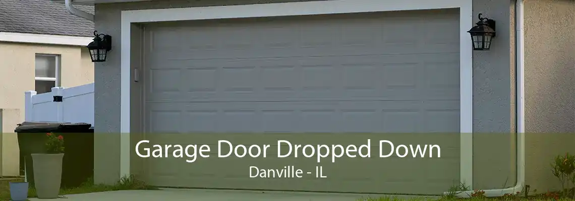 Garage Door Dropped Down Danville - IL