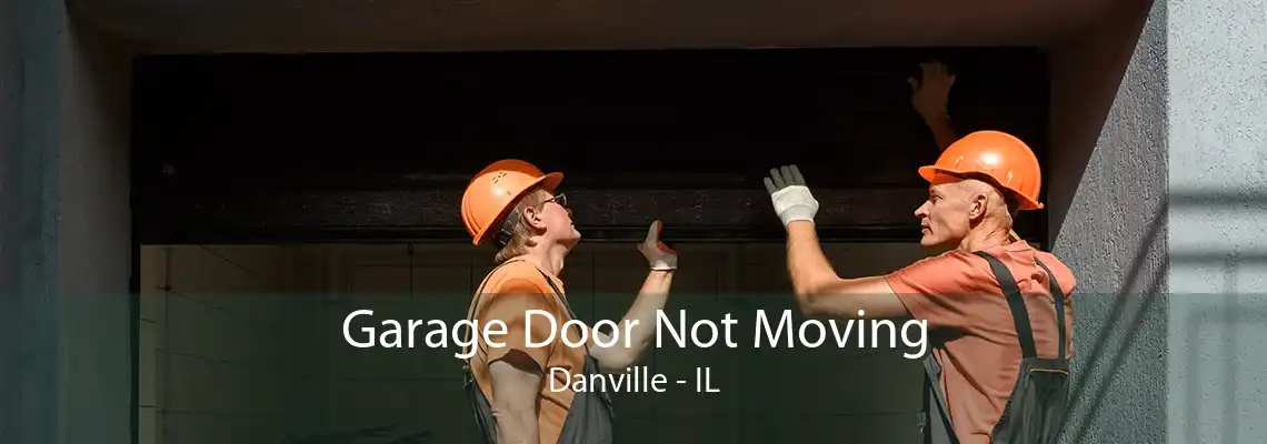 Garage Door Not Moving Danville - IL